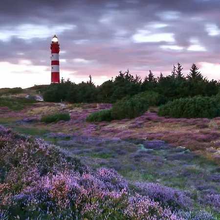 A In Haus Seewind Comfortable Vacation Apartment