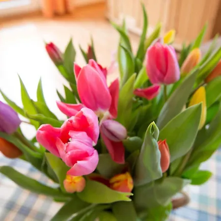 A In Haus Seewind Comfortable Vacation Apartment *